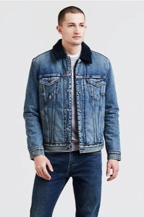 Levi's denim jackets for men: features and combination rules