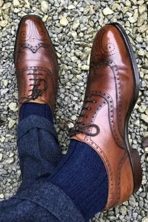 Brown men's shoes: how to choose and what to wear with?