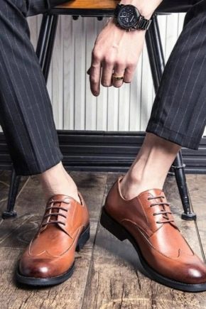 Men's classic shoes: types and selection rules