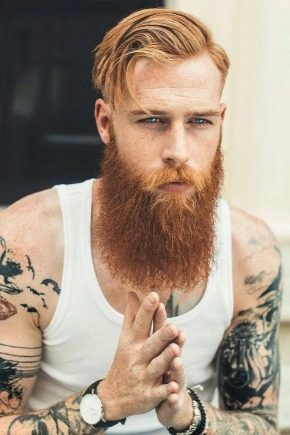 Све о црвеној бради