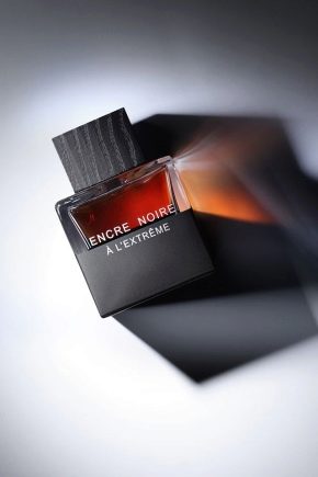 Lalique men's perfumery