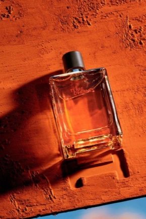 Description du parfum homme Hermès