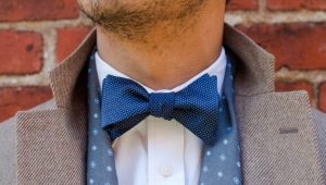 Bow tie: types, sizes, how to choose and what to wear?