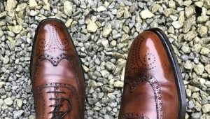 Смеђе мушке ципеле: како одабрати и са чиме носити?