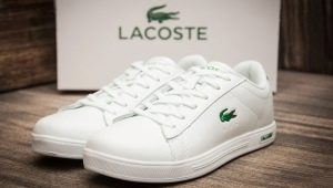 Lacoste men's sneakers: features and choices