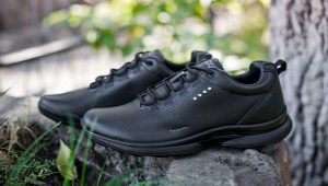 أحذية رياضية للرجال من ECCO: الميزات والخيارات