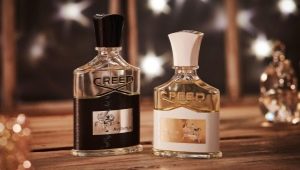Creed men's perfume review