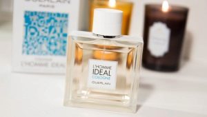 Guerlain men's perfume review