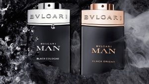 Description de la parfumerie masculine Bvlgari