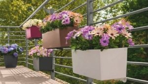 Balcony boxes, planters and flower pots