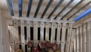 Comment conserver les pommes de terre sur le balcon ?