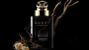 Gucci men's perfume description