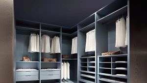 Types of shelves for the dressing room and their placement