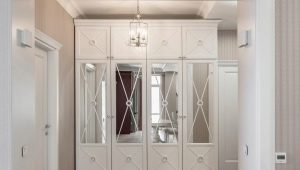What are the wardrobes with a mirror in the hallway and how to choose them?