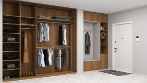 Description of narrow cabinets in the hallway and their choice