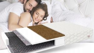 Variety of EcoSle mattresses