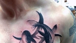 Pārskats par vīriešu tetovējumiem ar zodiaka zīmi Zivis