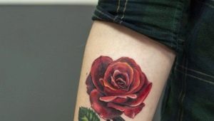 Overview of men's tattoos in the form of a rose on the arm and their location