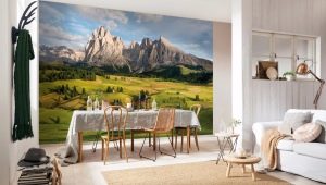 Modern wall murals - this year's trends