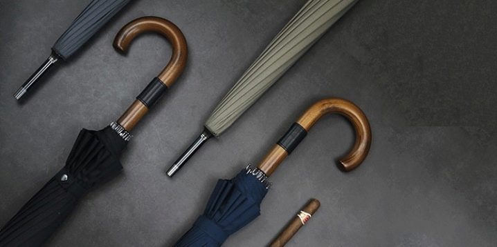 Men's cane umbrellas: an overview of models, tips for choosing