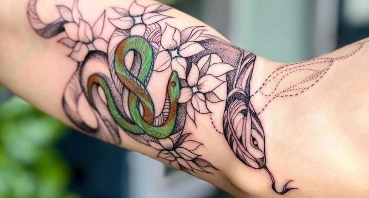 Examen du tatouage pour hommes avec des serpents sur le bras
