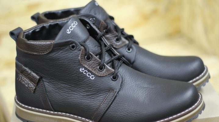 Features and models of ECCO men's shoes