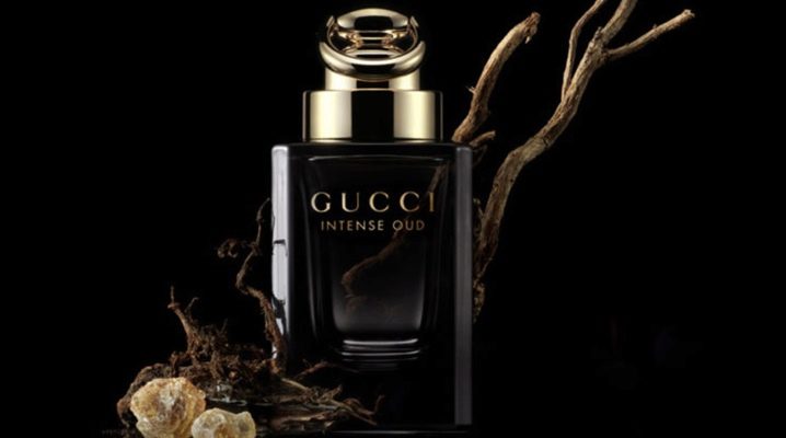 Gucci men's perfume description