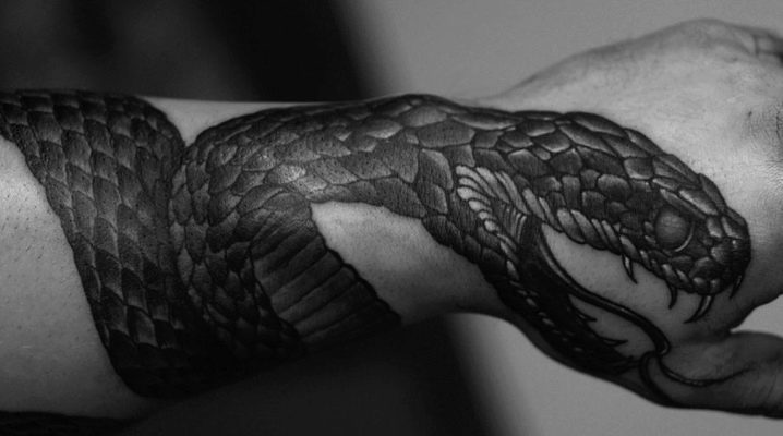 Шта су тетоваже мушких змија и где их набавити?