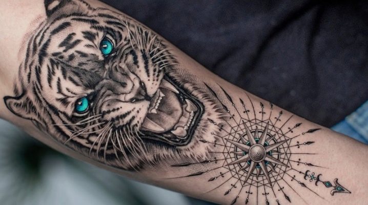 Преглед мушких тетоважа тигра и њихов положај
