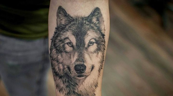 All about men's wolf tattoos
