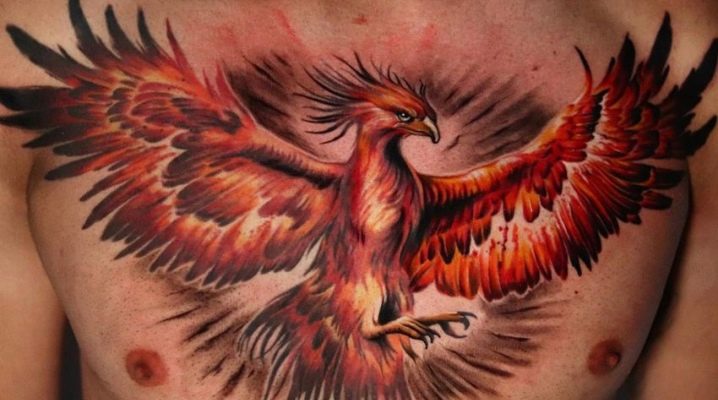 Όλα για το τατουάζ Phoenix για άνδρες