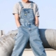 Men's denim overalls: types and examples of images