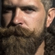 Све о бради: од одабира облика до његовања