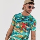 Men's T-shirts with a print: a variety of models