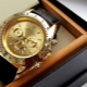 The most expensive men's wristwatch