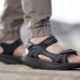 Men's sports sandals: how to choose and what to wear?