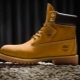 Bottes Timberland pour hommes