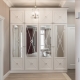 What are the wardrobes with a mirror in the hallway and how to choose them?