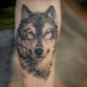 Wszystko o męskich wilczych tatuażach