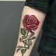 Prezentare generală a tatuajelor bărbaților sub formă de trandafir pe braț și locația lor