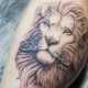 Overview of lion tattoos for men and their location
