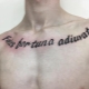 Erilaisia ​​miesten tatuointeja kirjoitusten muodossa rintalastassa