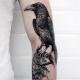 Tutto sul tatuaggio del corvo per gli uomini